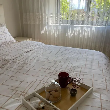 The Center Spot * Shkodër