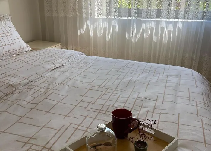 The Center Spot * Shkodër